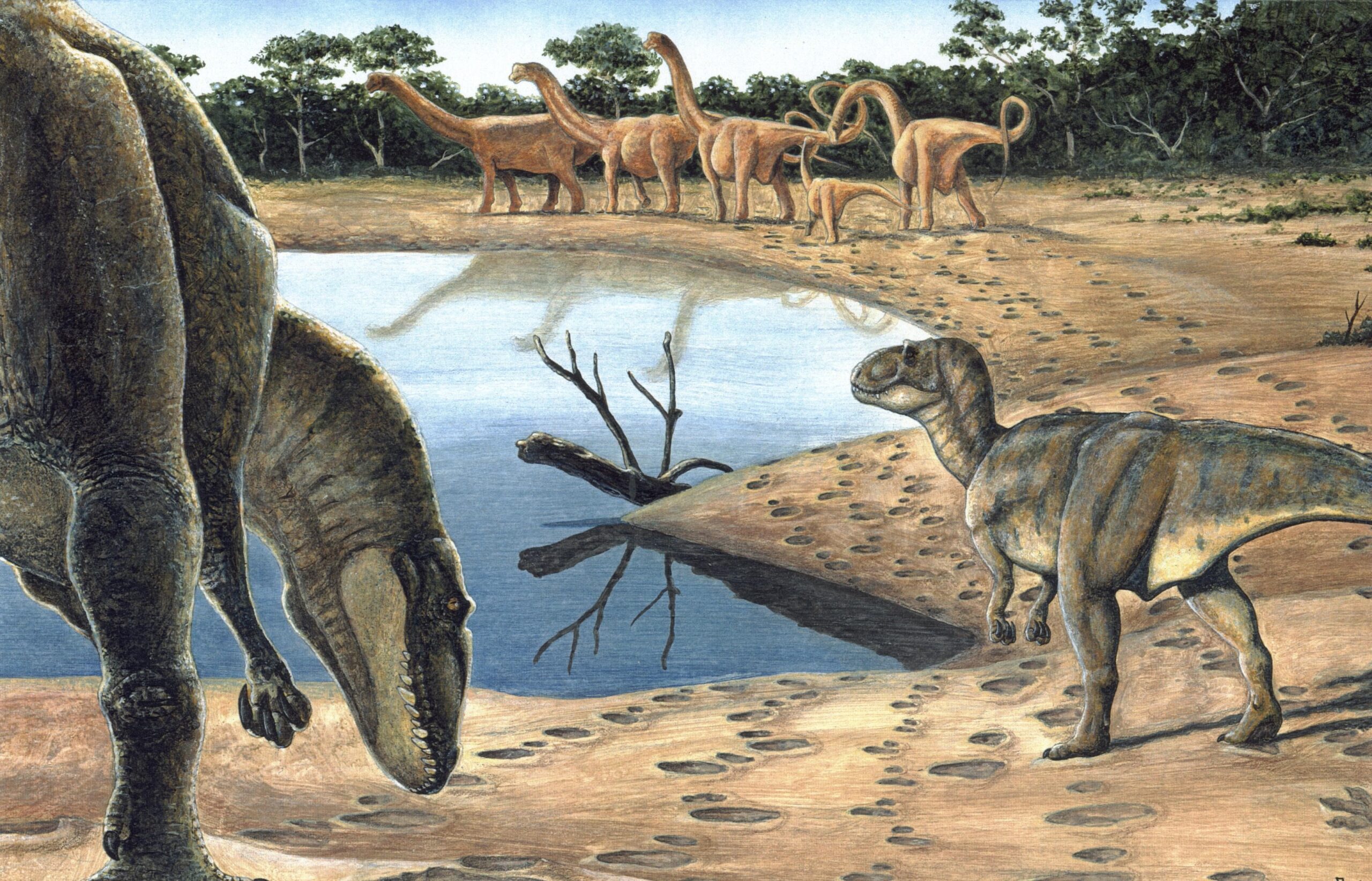 Sul Informação - Lagos viaja até ao mundo pré-histórico dos dinossauros do Brasil