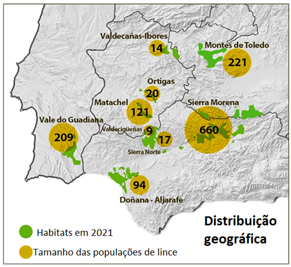 Sul Informação