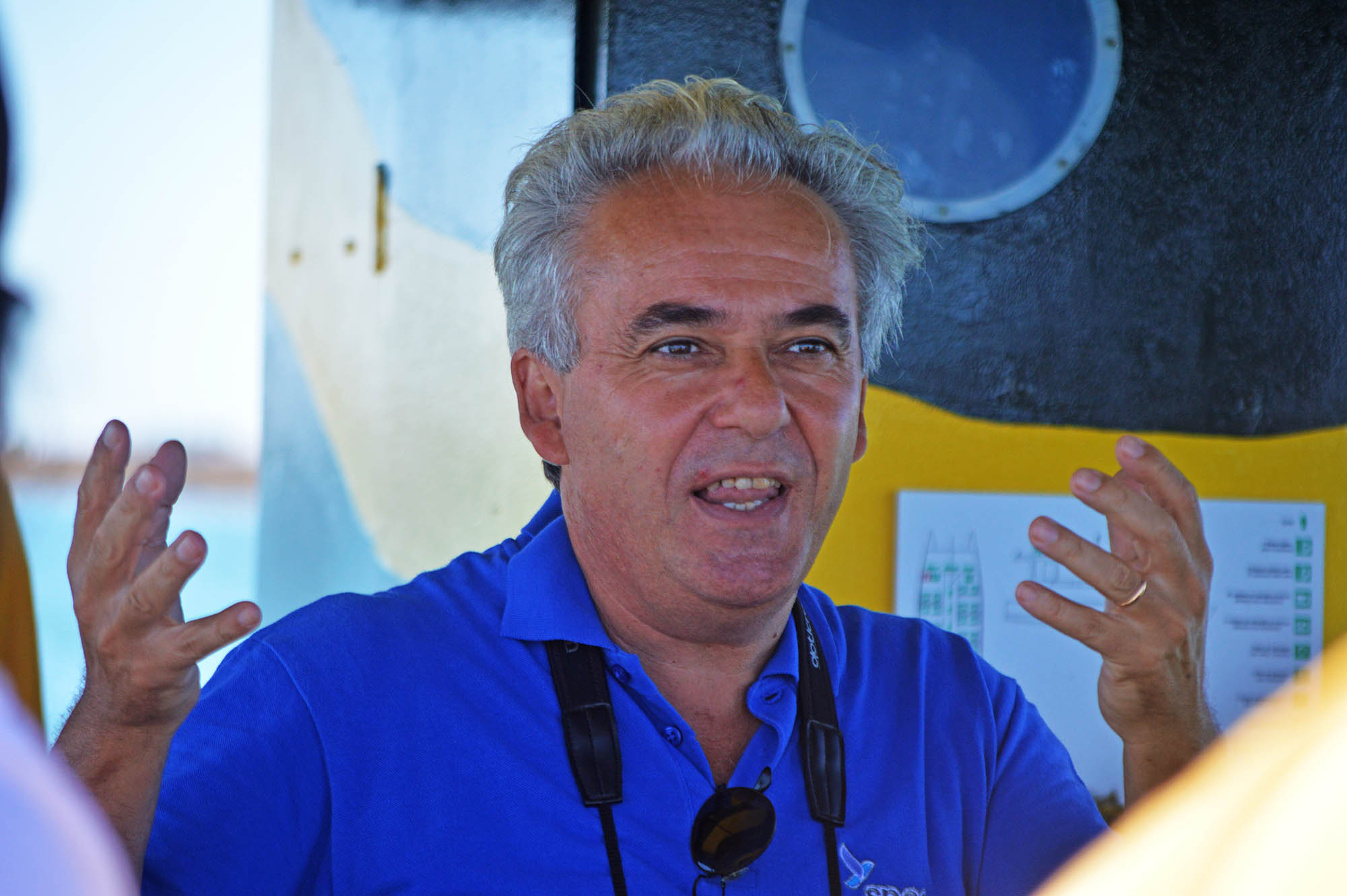 Sul Informação