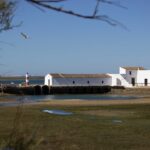 Sul Informação - Ecofest está a pôr todos a desfrutar do Parque Natural da Ria Formosa