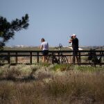 Sul Informação - Ecofest está a pôr todos a desfrutar do Parque Natural da Ria Formosa