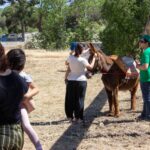Sul Informação - Ecofest está a pôr todos a desfrutar do Parque Natural da Ria Formosa