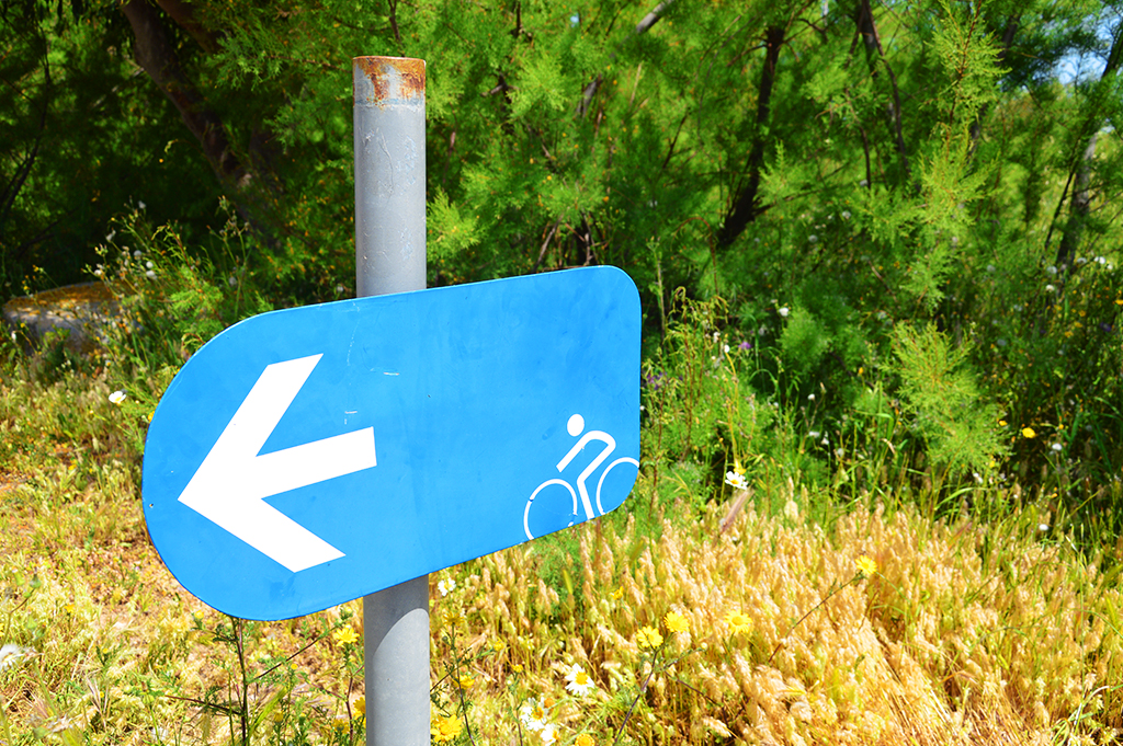 Sul Informação - Faro: Workshop internacional quer ajudar a desenvolver rota ciclável EuroVelo1