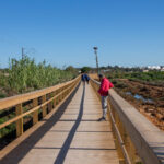 Sul Informação - De bicicleta ou a pé: Ecovia Bias-Olhão inaugurada com centenas de pessoas