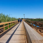Sul Informação - De bicicleta ou a pé: Ecovia Bias-Olhão inaugurada com centenas de pessoas