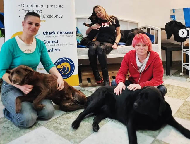 Sul Informação - Técnica de Emmett aplicada aos animais chega ao Algarve