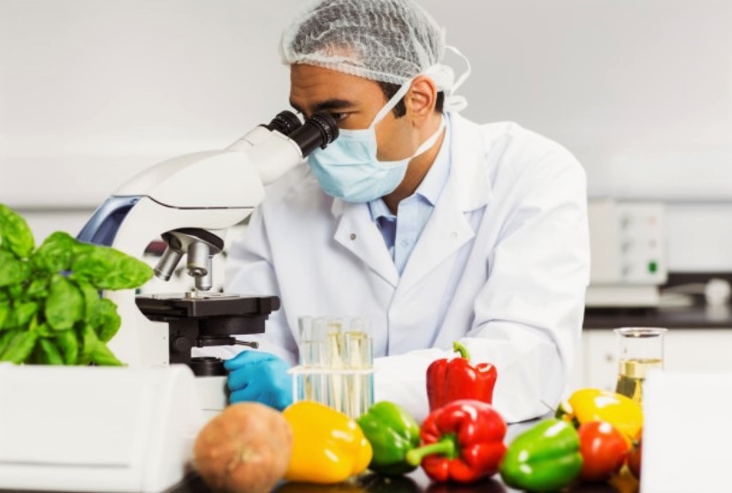 Sul Informação - Congresso internacional debate futuro da alimentação na Universidade do Algarve