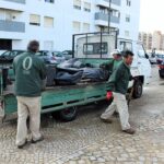 Sul Informação - Hortas Pedagógicas das escolas primárias de Olhão estão prontas para a colheita (com fotos)