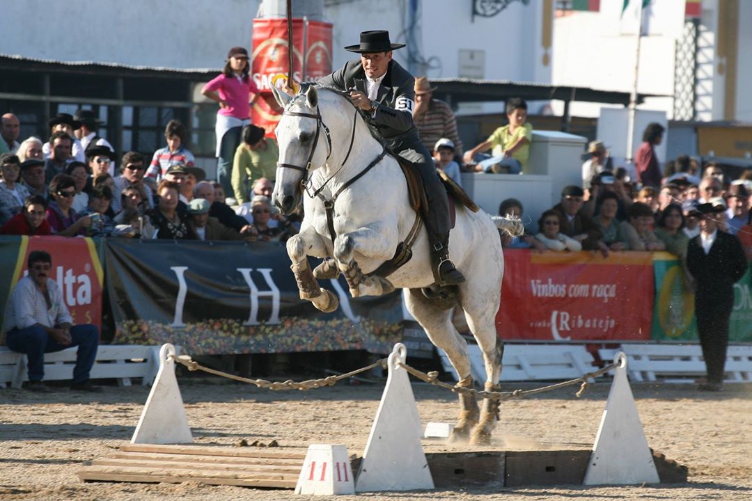Sul Informação - Estreia nacional da francesa Clémence Faivre é grande aposta equestre da Fatacil 2017