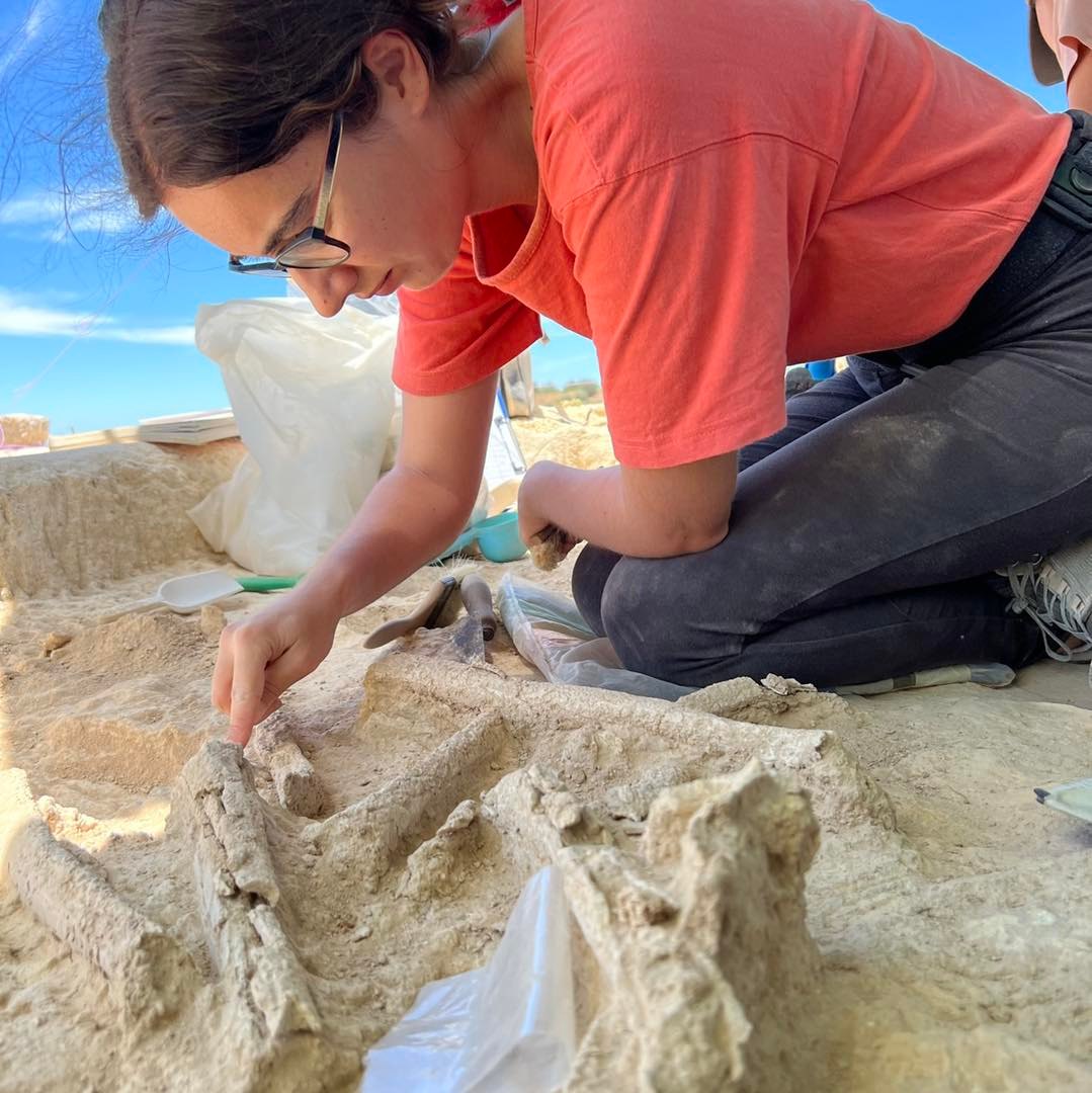 Sul Informação - Sítio arqueológico descoberto durante construção de golfe apresentado em Lagoa