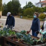 Sul Informação - Escola EB 2,3 Santo António e UAlg colhem legumes para pessoas carenciadas