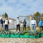 Sul Informação - Escola EB 2,3 Santo António e UAlg colhem legumes para pessoas carenciadas