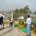 Sul Informação - Escola EB 2,3 Santo António e UAlg colhem legumes para pessoas carenciadas