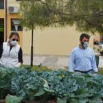 Sul Informação - Escola EB 2,3 Santo António e UAlg colhem legumes para pessoas carenciadas