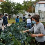 Sul Informação - Escola EB 2,3 Santo António e UAlg colhem legumes para pessoas carenciadas