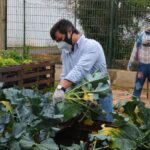 Sul Informação - Escola EB 2,3 Santo António e UAlg colhem legumes para pessoas carenciadas
