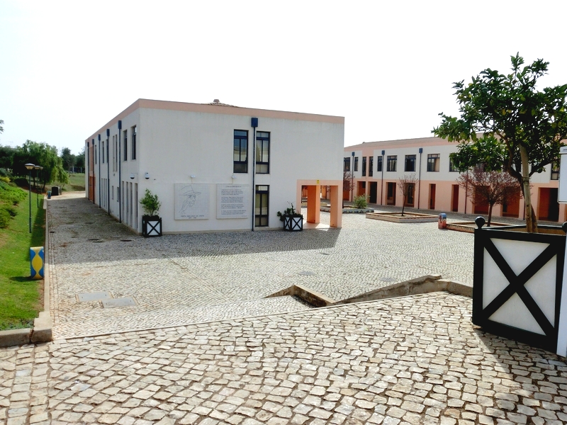 Sul Informação - Arraial solidário ajuda jovem aluna de Estoi que tem doença muito rara