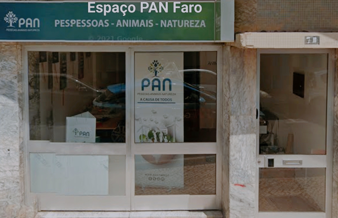 Sul Informação - PAN Algarve cria ponto de recolha de bens materiais para a Turquia