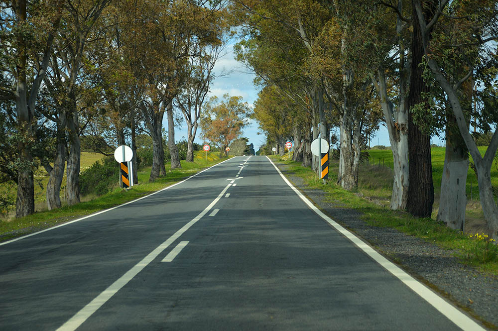 Sul Informação - Covid-19: Número de casos mantém-se estável no Alentejo, apesar de novas confirmações