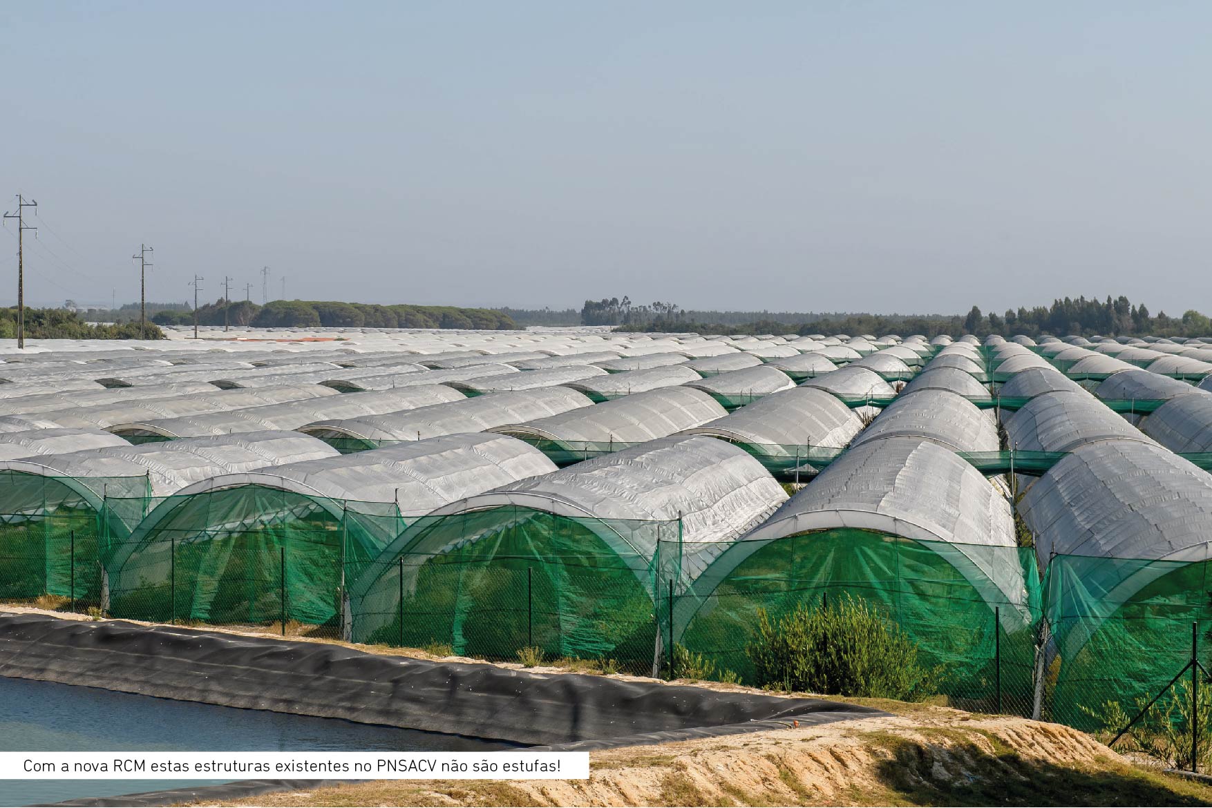 Sul Informação - Perímetro de Rega do Mira não pode ser «apenas e só destinado a um tipo de agricultura»