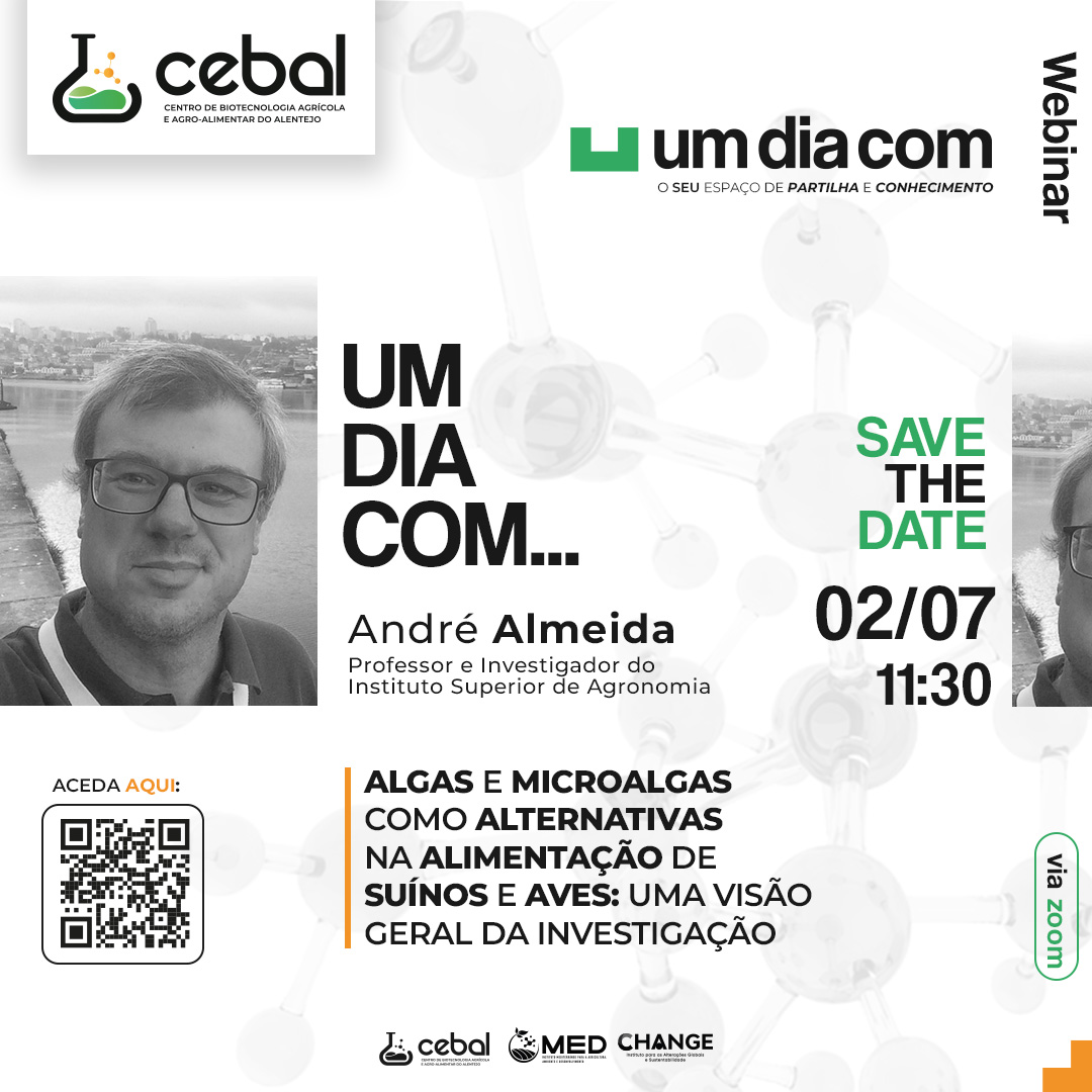 Sul Informação