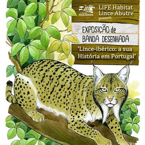 Sul Informação - LPN apresenta Projeto Life «Habitat Lince/Abutre» a caçadores, produtores florestais e agricultores em São Brás
