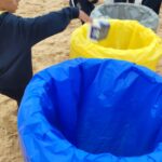 Sul Informação - Marina de Vilamoura celebra São Martinho com Jornadas do Ambiente