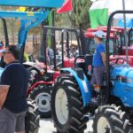 Sul Informação - Fotogaleria: Odemira já se mostra com todo o seu esplendor em mais uma FACECO