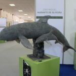 Sul Informação - Fotogaleria: Odemira já se mostra com todo o seu esplendor em mais uma FACECO