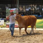 Sul Informação - Fotogaleria: Odemira já se mostra com todo o seu esplendor em mais uma FACECO