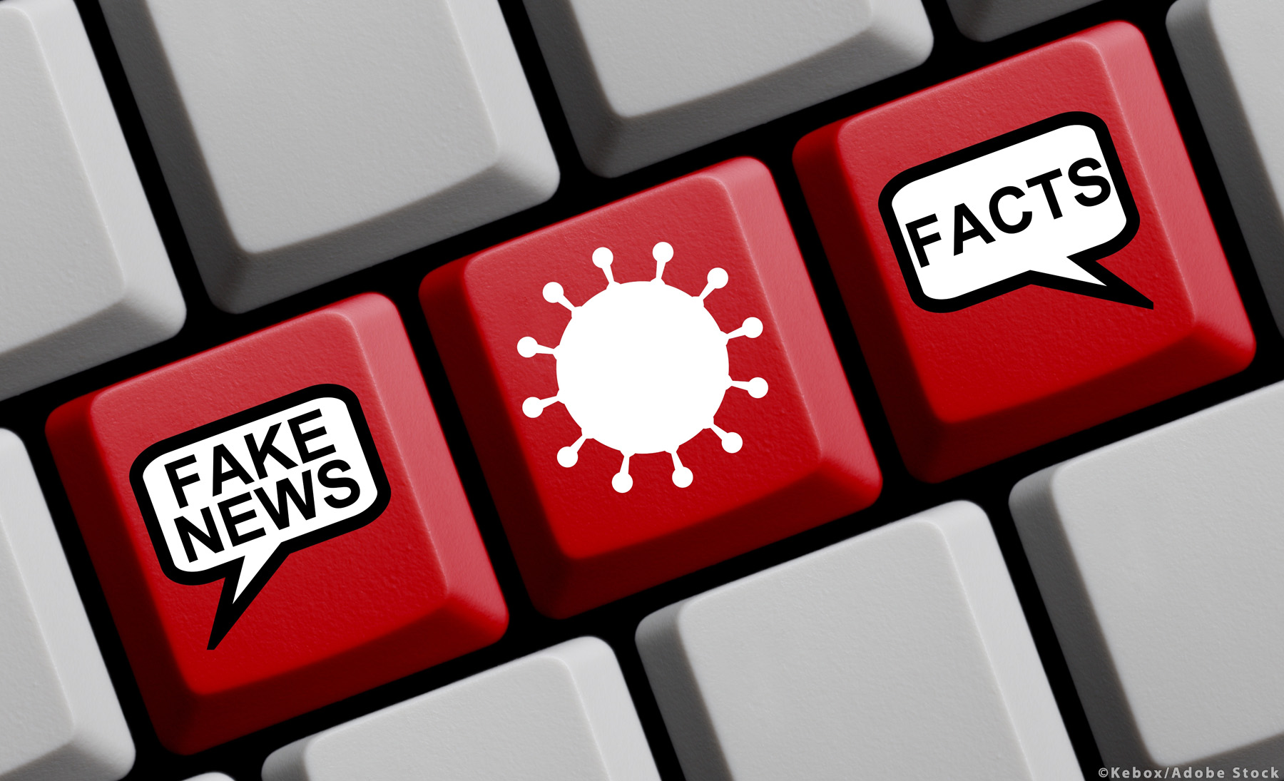 Sul Informação - Direito à proteção contra a desinformação em debate promovido pela Ordem dos Solicitadores