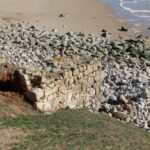 Sul Informação - Vila do Bispo terá museu para mostrar como o concelho «é único e extraordinário»