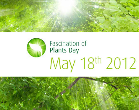 Sul Informação - Universidade do Algarve assinala o «Dia do Fascínio das Plantas»