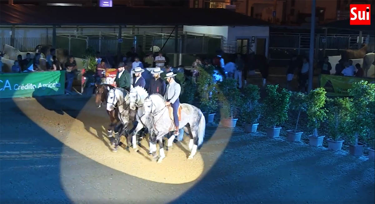 Sul Informação - FATACIL tem programa equestre que a distingue das outras feiras