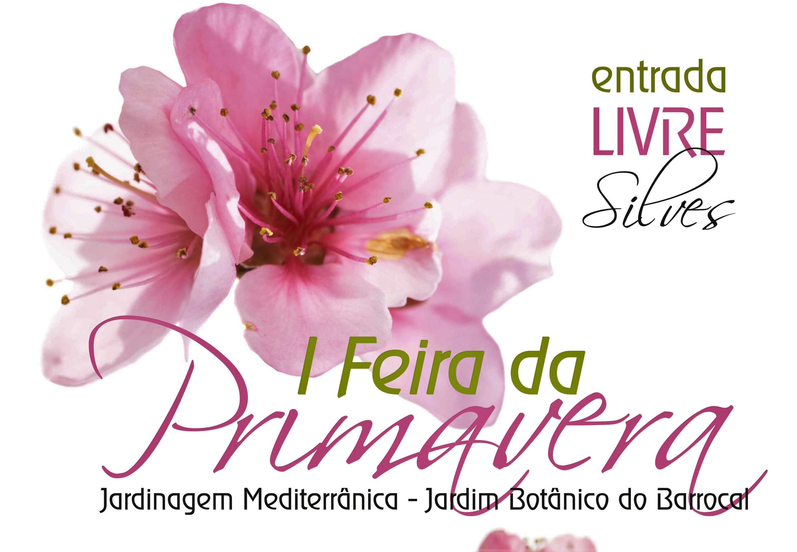 Sul Informação - Silves dá a conhecer flora algarvia na Feira da Primavera