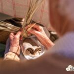 Sul Informação - Feira da Serra levou 33 mil pessoas a São Brás de Alportel