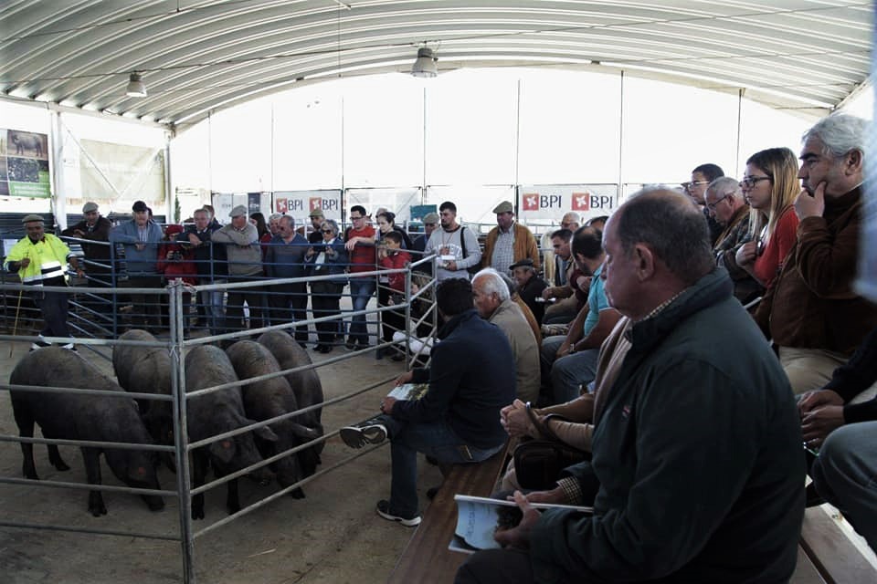 Sul Informação - Ourique cancela Feira de Garvão devido à Covid-19