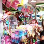 Sul Informação - Quem se quer divertir, vai à Feira de Santa Iria em Faro [fotogaleria]