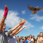 Sul Informação - Programa do Festival de Observação de Aves está online a partir de hoje