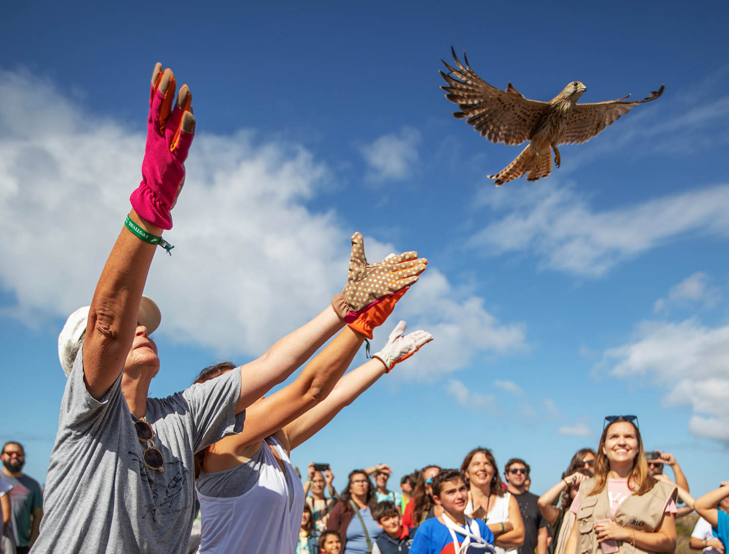 Sul Informação - Programa do Festival de Observação de Aves está online a partir de hoje