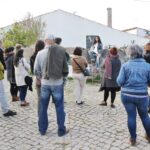 Sul Informação - Fotogaleria: A “magia” das Catedrais do Medronho já está aí (com casa cheia)