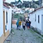 Sul Informação - Fotogaleria: A “magia” das Catedrais do Medronho já está aí (com casa cheia)