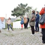 Sul Informação - Fotogaleria: A “magia” das Catedrais do Medronho já está aí (com casa cheia)