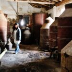 Sul Informação - Fotogaleria: A “magia” das Catedrais do Medronho já está aí (com casa cheia)