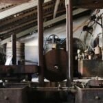 Sul Informação - Fotogaleria: A “magia” das Catedrais do Medronho já está aí (com casa cheia)