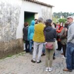 Sul Informação - Fotogaleria: A “magia” das Catedrais do Medronho já está aí (com casa cheia)