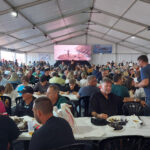 Sul Informação - Festival do Perceve levou 11 mil pessoas a Vila do Bispo
