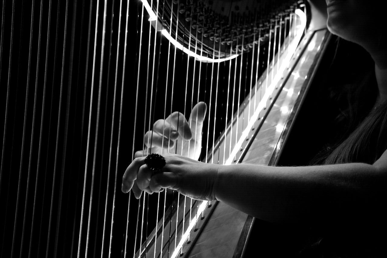 Sul Informação - Festival de Harpa do Algarve vai passar por Lagoa, Portimão e Monchique