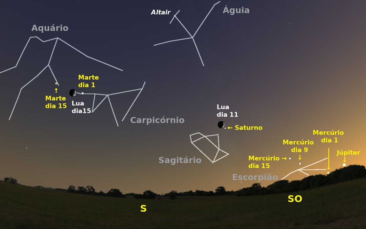 Sul Informação - Três “chuvas de estrelas” vão iluminar (mas pouco) o céu de Novembro
