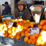 Sul Informação - O próximo será mais um Fim de Semana com Sabor a Laranja em Silves